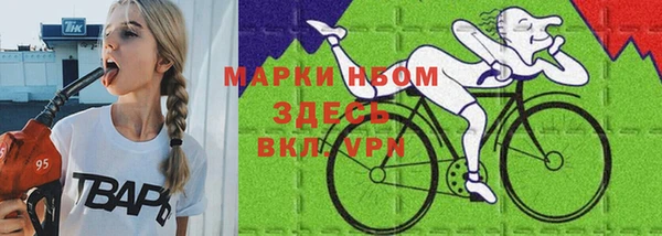 дмт Белокуриха